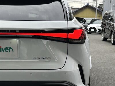 LEXUS RX 2024 thumbnail 49