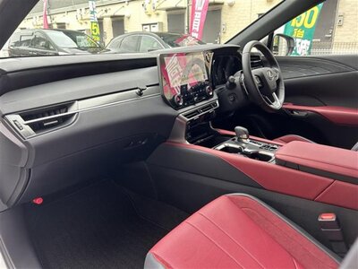 LEXUS RX 2024 thumbnail 62