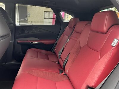 LEXUS RX 2024 thumbnail 67