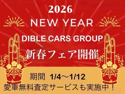 TOYOTA LAND CRUISER PRADO - 3