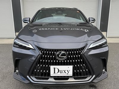 LEXUS NX - 8