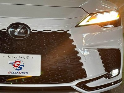 صورة مصغرة 20 لـ 2023 Lexus RX