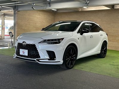 صورة مصغرة 64 لـ 2023 Lexus RX