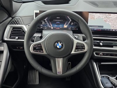 2025 BMW X6 — миниатюра 19