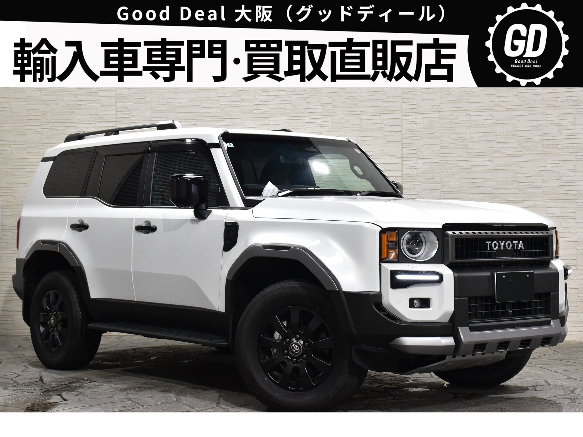 TOYOTA LAND CRUISER 250 - View 1