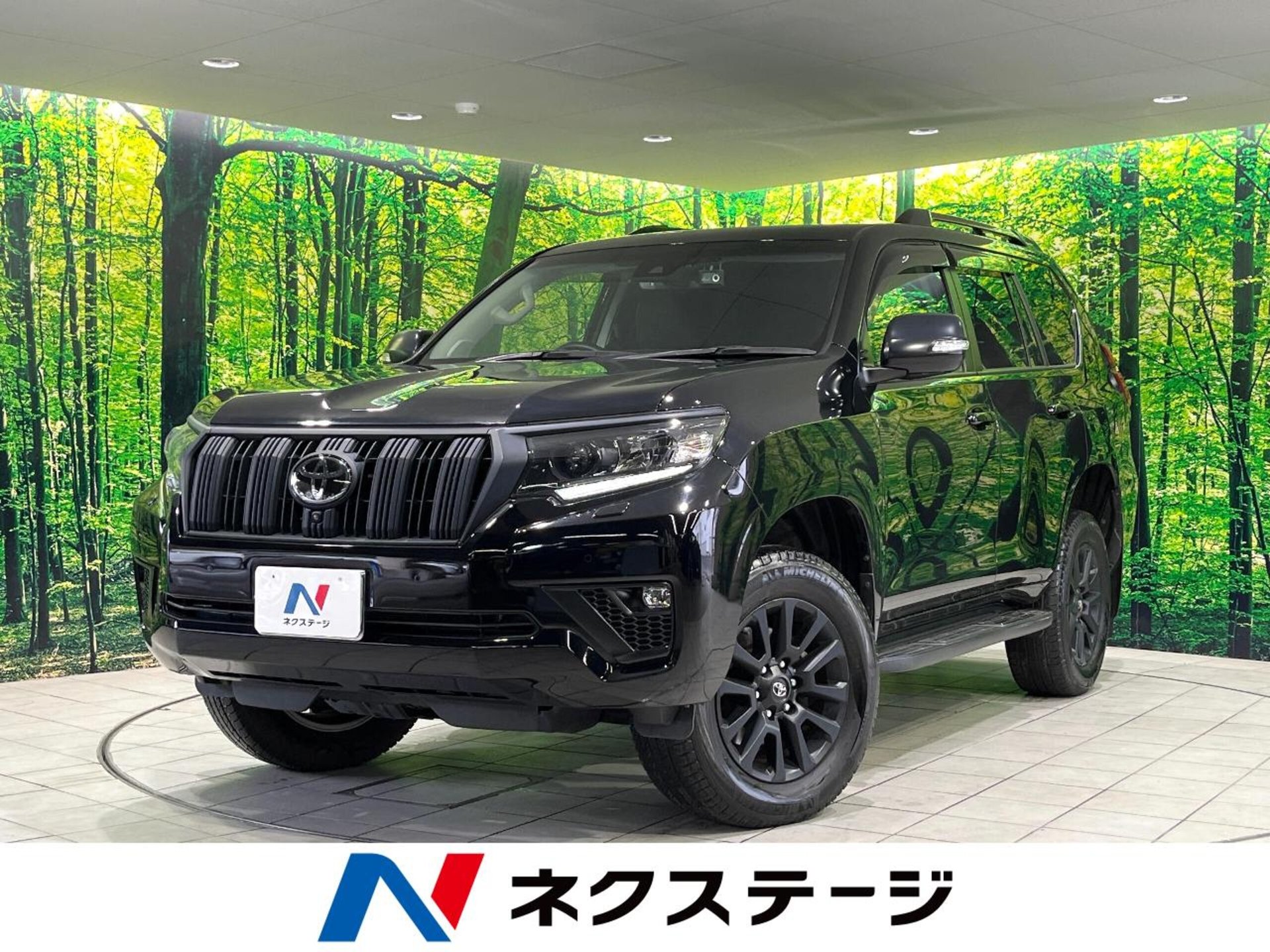 TOYOTA LAND CRUISER PRADO - View 1
