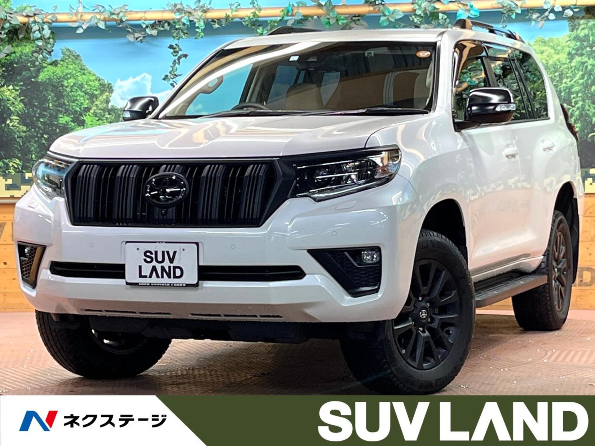 TOYOTA LAND CRUISER PRADO - View 1