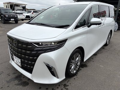 2025 TOYOTA ALPHARD thumbnail 11
