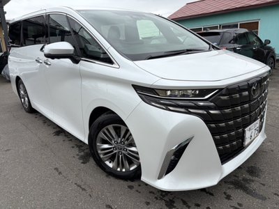 2025 TOYOTA ALPHARD photo 3