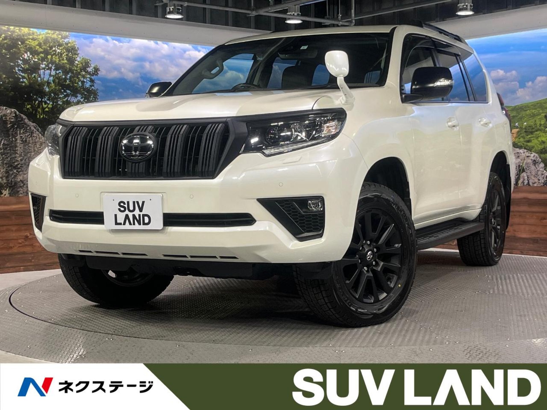 TOYOTA LAND CRUISER PRADO - View 1