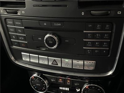 2017 Mercedes-BENZ G-CLASS 缩略图 28