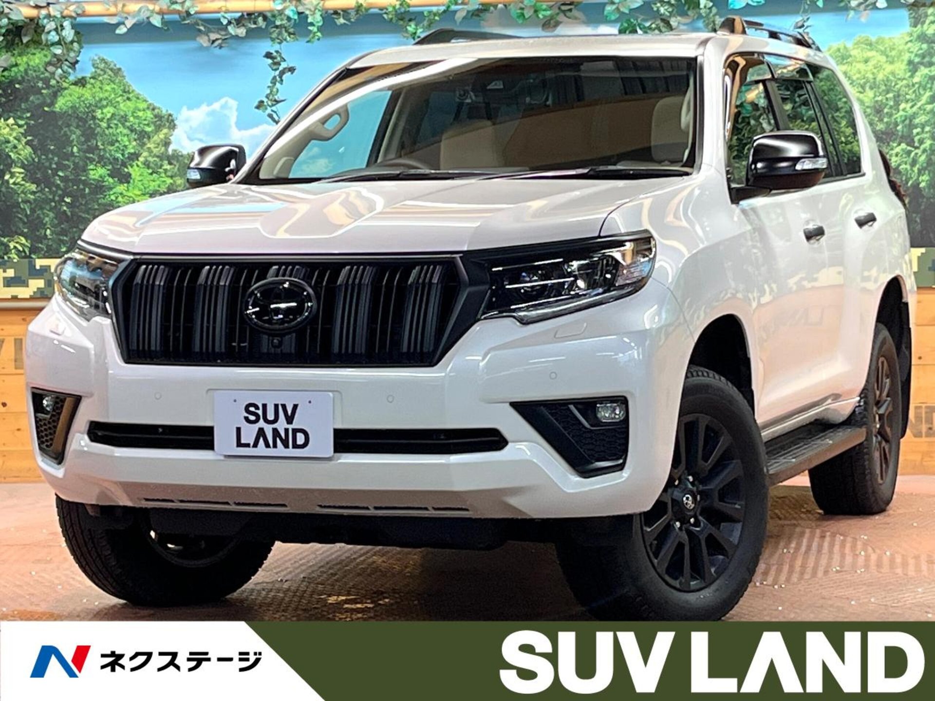 TOYOTA LAND CRUISER PRADO - View 1