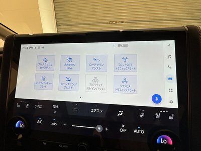 2023 Toyota ALPHARD — миниатюра 11