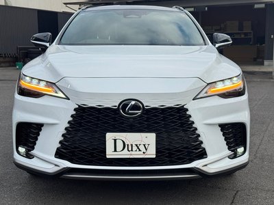 LEXUS RX - 6