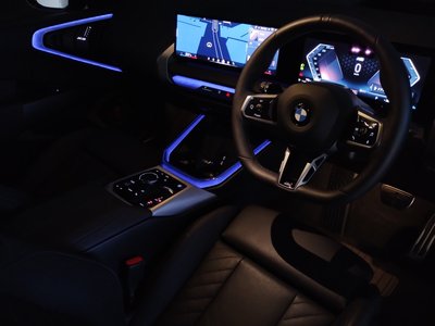 2025 BMW X3 thumbnail 30
