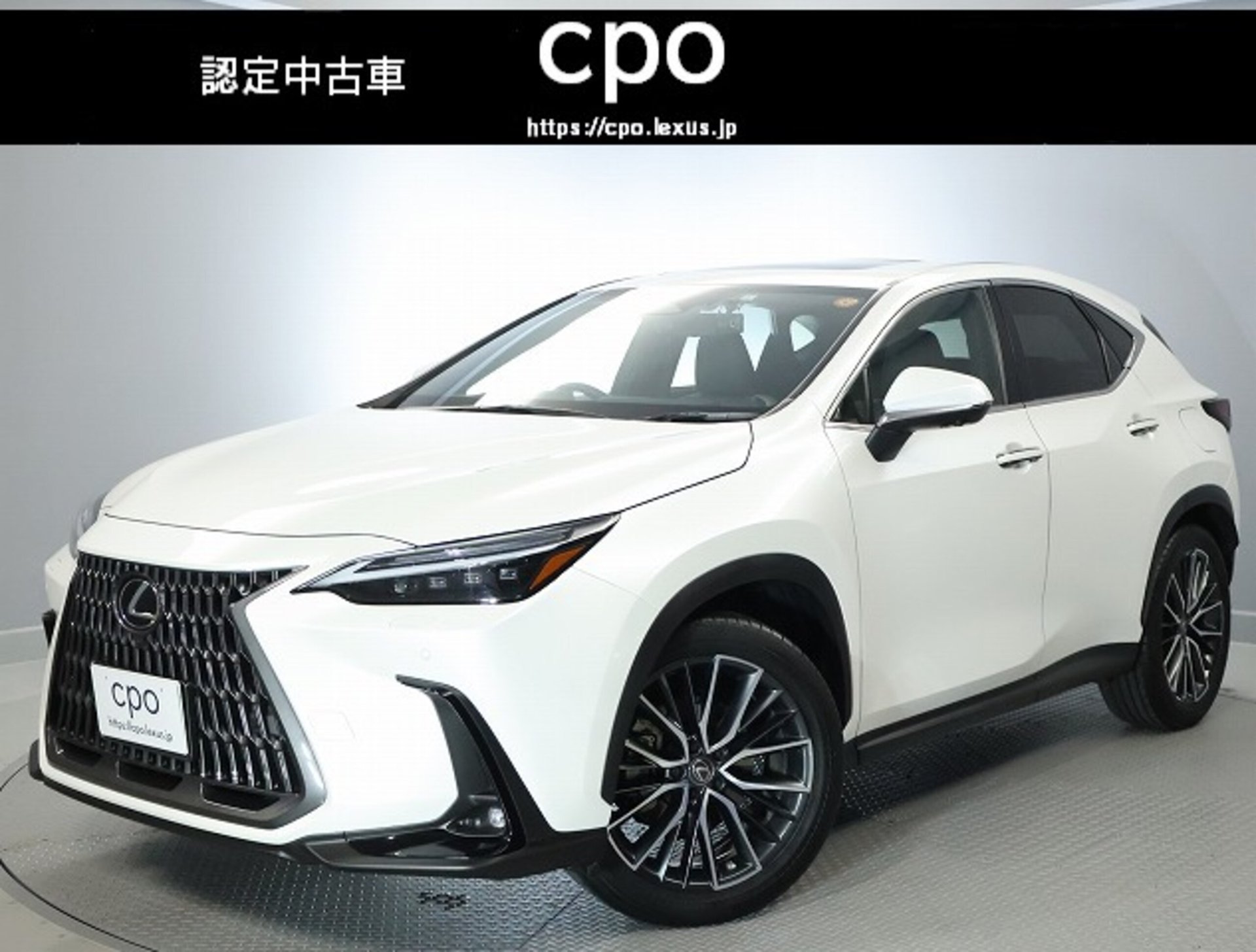 LEXUS NX - View 1