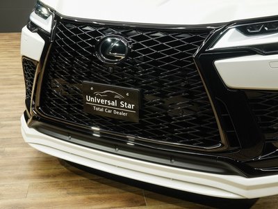 2024 Lexus LX 缩略图 11