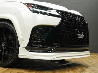 2024 Lexus LX 缩略图 47
