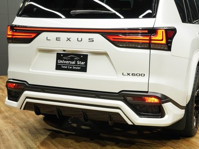 2024 Lexus LX 缩略图 20