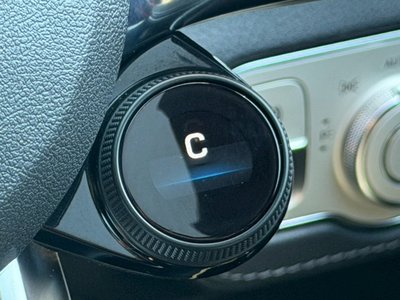 2020 Mercedes-BENZ GLE AMG 缩略图 28