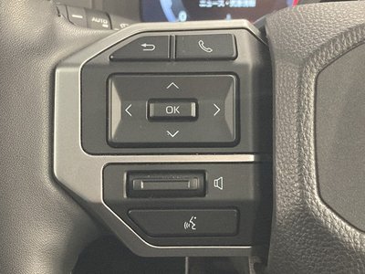 2024 Toyota LAND CRUISER 250 缩略图 77