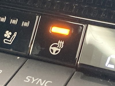 2024 Toyota LAND CRUISER 250 缩略图 71
