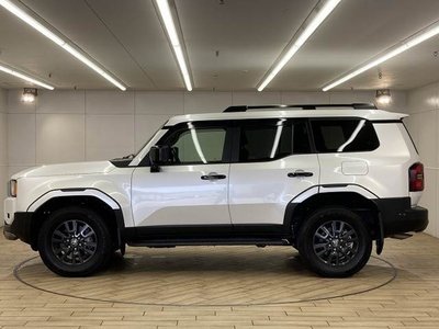 2024 Toyota LAND CRUISER 250 缩略图 17