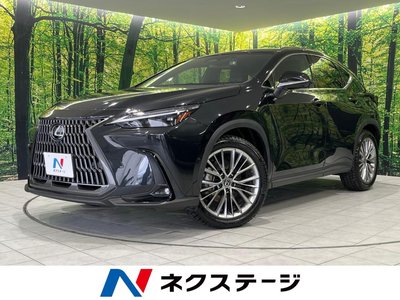 LEXUS NX - 1