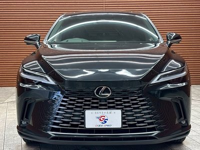 2023 Lexus RX 缩略图 33