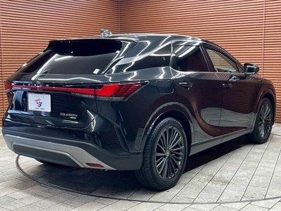 2023 Lexus RX 缩略图 16