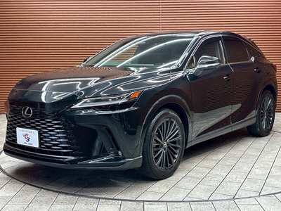 2023 Lexus RX 缩略图 32