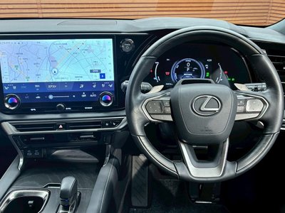 2023 Lexus RX 缩略图 68