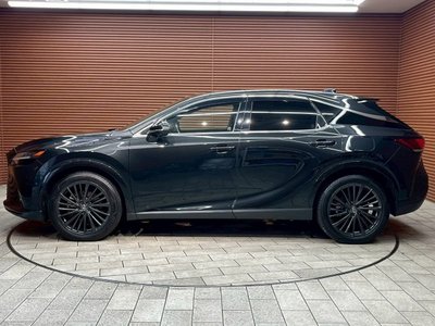 2023 Lexus RX 缩略图 39