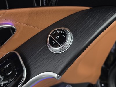 2022 Mercedes-BENZ S-CLASS — миниатюра 26