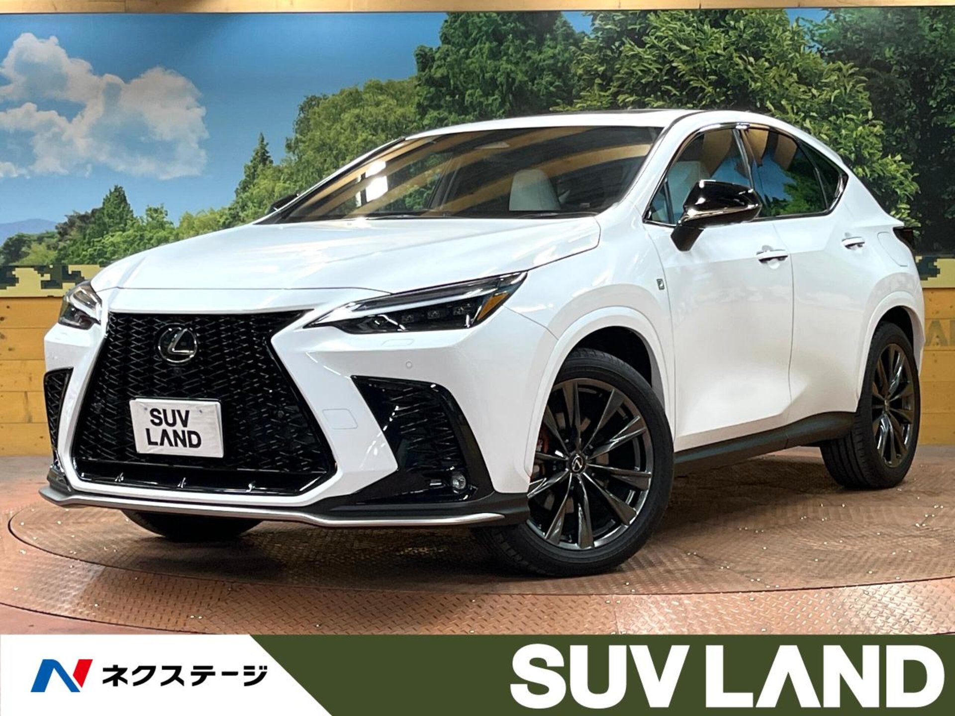 LEXUS NX - View 1