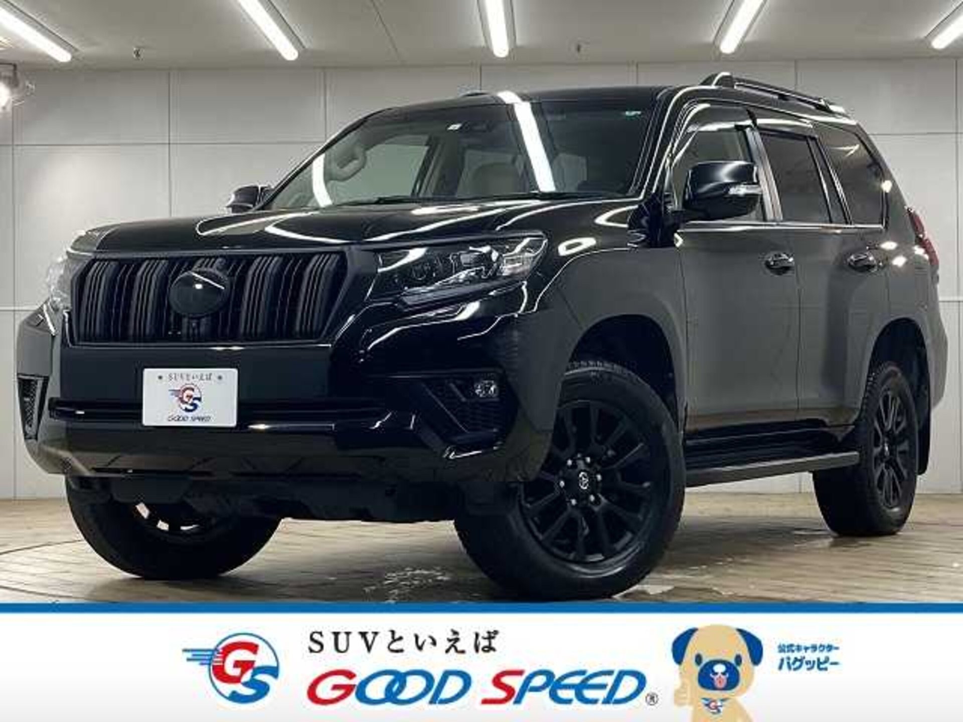 TOYOTA LAND CRUISER PRADO - View 1