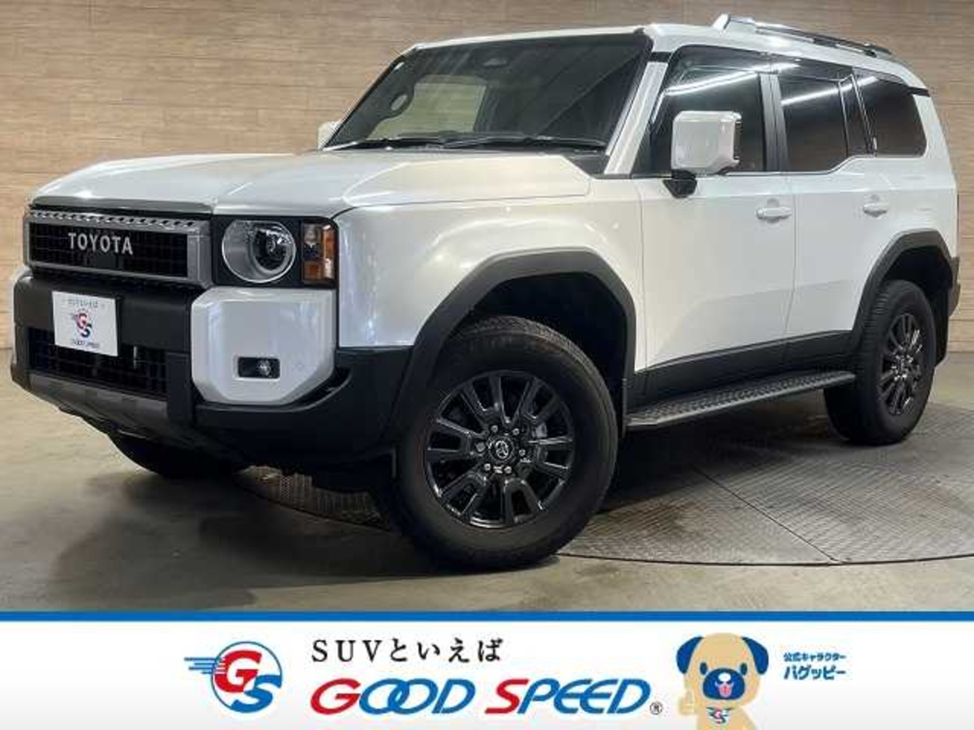 TOYOTA LAND CRUISER 250 - View 1