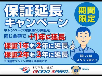 TOYOTA LAND CRUISER 250 - 2