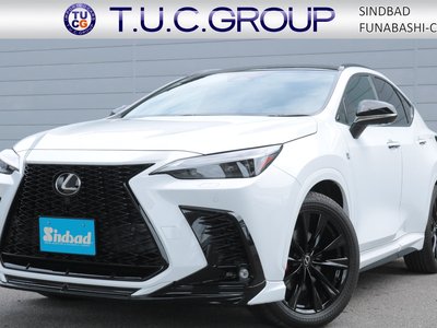 LEXUS NX - 1