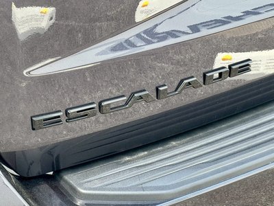 2024 Cadillac ESCALADE 缩略图 22