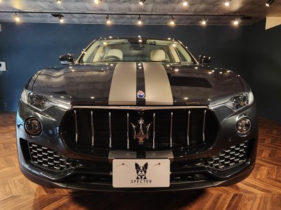2020 Maserati LEVANTE 缩略图 28