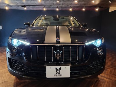 2020 Maserati LEVANTE 缩略图 30