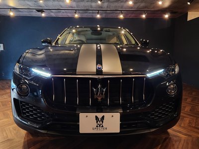 2020 Maserati LEVANTE 缩略图 29