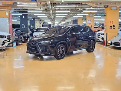 LEXUS NX - 1