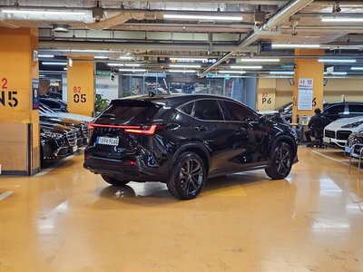 LEXUS NX - 4