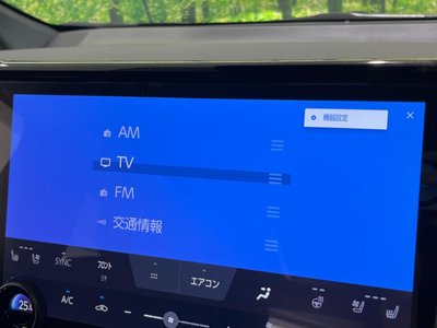 2024 Toyota ALPHARD 缩略图 34