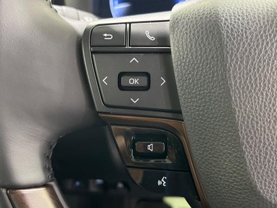 2024 Toyota ALPHARD 缩略图 38