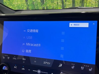 2024 Toyota ALPHARD 缩略图 35