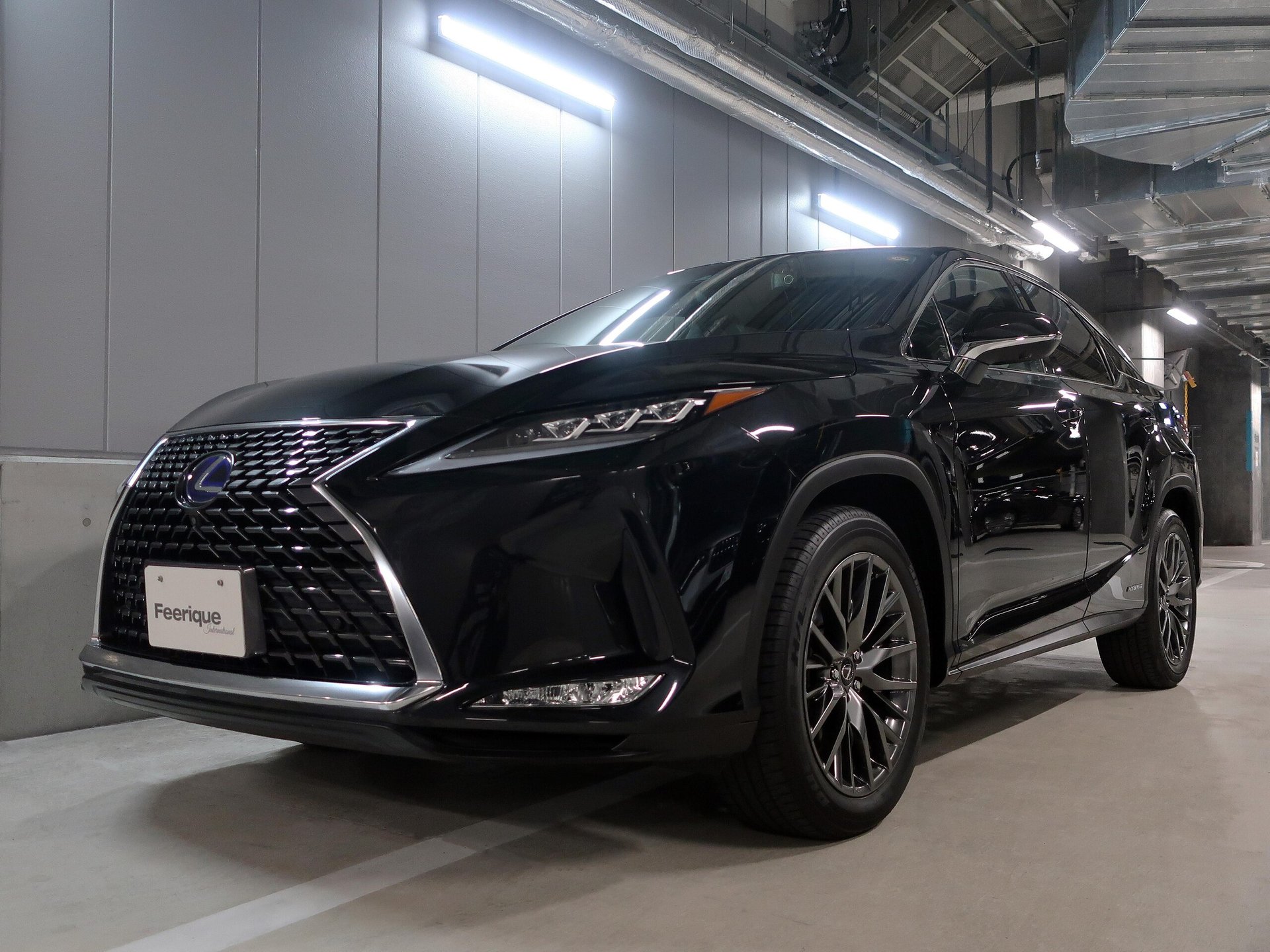 LEXUS RX - View 1