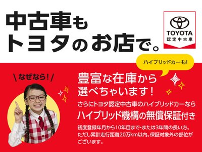 TOYOTA LAND CRUISER PRADO - 4